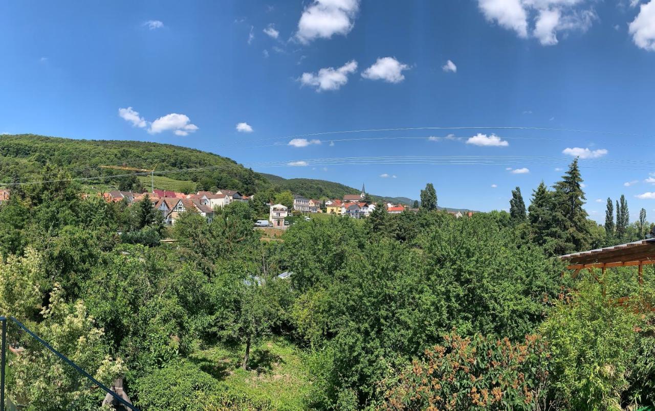 Zeit In Hambach Leilighet Neustadt an der Weinstraße Eksteriør bilde